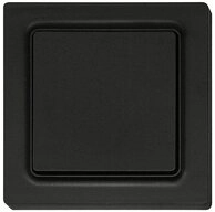 Eltako Funktaster anthrazit matt 55x55mm batterie- und leitungslos 30055718