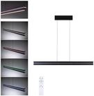 Paulmann LED Pendelleuchte Raiko RGBW+ 2300lm / 370lm 19W / 6W Schwarz, LED fest