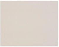 CLAIREFONTAINE Geschenkbox Graupappe 1,0mm, 600g 60x80 10 Bogen - Grau 93976C,...