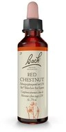 Bach Original Red Chestnut f&uuml;r innere Balance und Wohlbefinden Tropfen, 20 St.,