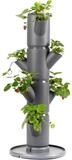 Gusta Garden Hochbeet SISSI STRAWBERRY starter (inkl. Wasserauslaufschutz &