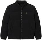 Lacoste Steppjacke Herren Steppjacke 1er Pack Polyamid