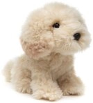 Uni-Toys Kuscheltier Shih Tzu Doodle od. Cockapoo - 18 cm (H&ouml;he) -...