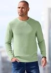 Strickpullover AUTHENTIC LE JOGGER, Herren, Gr. S (44/46), gr&uuml;n, Strick,