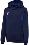 hummel Hoodie Hmlauthentic Pl Hoodie Kids