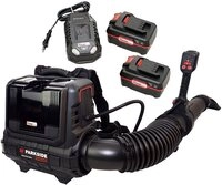 PARKSIDE PERFORMANCE&reg; Akku-Laubbl&auml;ser 40V Rucksack Laubbl&auml;ser PPRLBA 40 inkl...