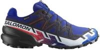 Salomon SPEEDCROSS 6 GORE-TEX EQUIPE Trailrunningschuh wasserdicht
