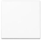 JUNG Schalter Jung Steuertaste Standard A 1700 BF WW