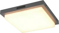 TRIO Leuchten LED Au&szlig;en-Wandleuchte BERMEJO, Hausnummer Leuchte mit...