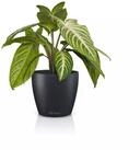Lechuza&reg; &Uuml;bertopf Classico Color 14 DECO schiefergrau
