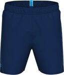 Arena Badeshorts FUNDAMENTALS ARENA LOGO BOXER R