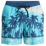 Quiksilver Boardshorts Everyday Printed Volley 15" blau L