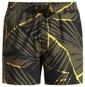Quiksilver Boardshorts Everyday Printed Volley 15"