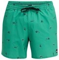 Quiksilver Boardshorts Stretch Printed Volley 16"