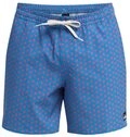Quiksilver Boardshorts Stretch Printed Volley 16"