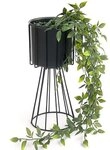 DanDiBo Blumenhocker Metall Schwarz 32 cm Blumenst&auml;nder Modern Pflanzenhocker