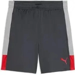 PUMA Sporthose IndividualLIGA Training Shorts GRAY ECHO-DUSKY GRAY-PUMA RED XL