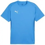 PUMA T-Shirt PUMA teamGOAL Trikot Kurzarm-Trikots Herren Polyester blau XS...