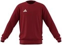 adidas Performance Sweatshirt adidas Performance Entrada 26 Sweatshirt Kids...