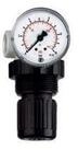 RIEGLER Druckregler Riegler Druckbegrenzungsventil, inkl. Manometer, G 1/4, 0,1...