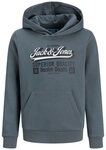 Jack & Jones Junior Sweatshirt JJELOGO SWEAT HOOD 2 COL AW25 JNR