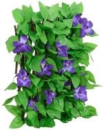 vidaXL Gartenzaun Rankgitter mit K&uuml;nstlichem Efeu 5 Stk. Erweiterbar 180x20 cm,