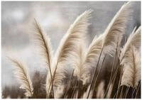 Wallarena Fototapete Vliestapete Pampasgras Natur Wiese Beige &ndash; Schlafzimmer