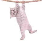 Thumbs Up Fenstersticker Ride With Hanging Cat - Fenstersticker "Katze"
