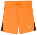 PUMA Trainingsshorts Puma Kinder Short teamLIGA26 Shorts 706555