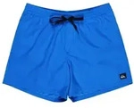 Quiksilver Badeshorts Everyday Solid Volley 15" mit Mesh-Innenslip blau L