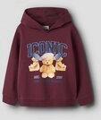 Name It Hoodie NKFRYCCA LS NREG SWEAT WH BRU BOX