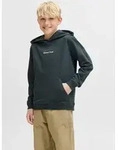 Jack & Jones Junior Kapuzensweatshirt JORNORREBRO EMB SWEAT HOOD NOOS JNR grau 152