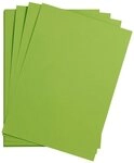 CLAIREFONTAINE Fotopapier Maya Bastelkarton A4 185g 25 Bogen - Moosgr&uuml;n 975252C,