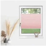 Deco-Raum Plissee Basic, blickdicht, Klemmtr&auml;ger, auf dem Fenster-/T&uuml;rrahmen,