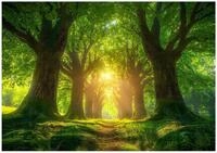 Wallarena Fototapete Vliestapete Wald B&auml;ume Natur Gr&uuml;n &ndash; Schlafzimmer...