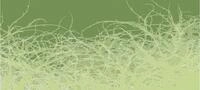 Architects Paper Fototapete Atelier 47 Thorn Style 1, glatt, floral, (6 St),...