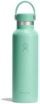 Hydro Flask Trinkflasche 21 OZ Standard Flex Cap, 621 ml