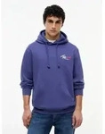 Tommy Jeans Kapuzensweatshirt TJM REGULAR ENTRY SIGN Regular fit, mit Kordelzug...
