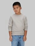 Calvin Klein Jeans Sweatshirt MONO MINI BADGE REG CN f&uuml;r Kinder bis 16 Jahre...