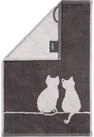 Caw&ouml; Handt&uuml;cher CUTE CATS EDITION You & Me 6263, 100% Baumwolle (1-St)