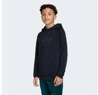 adidas Originals Kapuzensweatshirt GFX TR LO HO