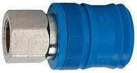 RIEGLER Verteiler Riegler Sicherheitskupplung NW 7,4, Typ KE, Messing vern., G...