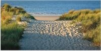 Artland Wandbild Strandaufgang, Strand (1 St), als Alubild, Leinwandbild in