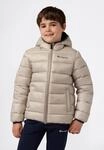 Steppjacke CHAMPION "SPORTWEAR JACKET Standard Fit", Jungen, Gr. M, ncb, nny, nny,