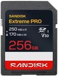 Sandisk USB-Flash-Laufwerk