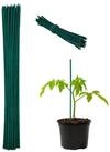 relaxdays Rankhilfe Gr&uuml;ne Pflanzst&auml;be 30 cm im 50er Set