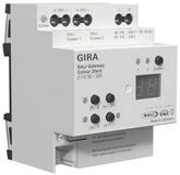 GIRA Klemmen Gira DALI Gateway Colour 2f REG 211200