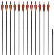 vidaXL Dartscheibe Recurvebogen-Pfeile 30" 0,76 cm Carbon 12 Stk.