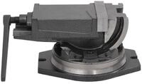 vidaXL Schraubzwinge, 2-Achsen-Schraubstock Kippbar 160 mm
