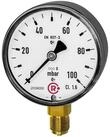 RIEGLER Reifenf&uuml;llmessger&auml;t Riegler Kapselfedermanometer, G 1/4 radial unten,...